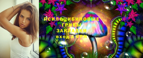дурь Верея